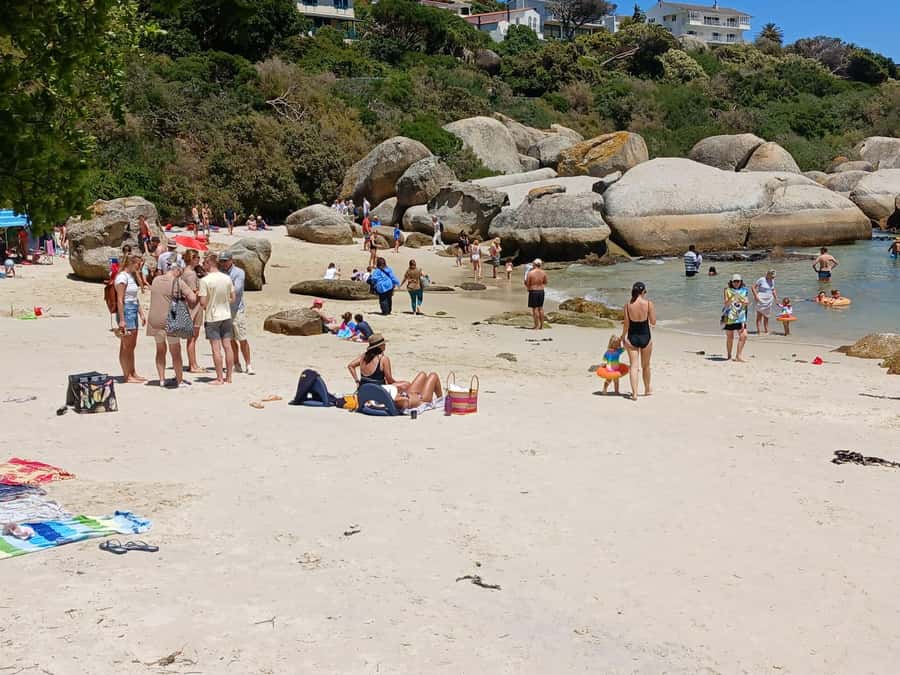 Beach Day at Boulder's Beach & Penguin watching, Half Day - Is $36 a fair price?