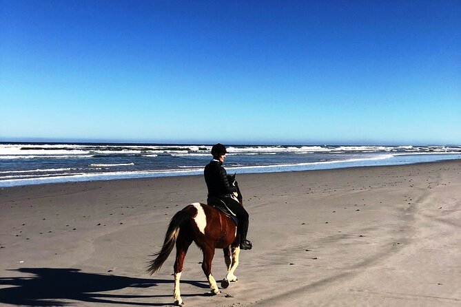 Beach Horse Ride in Yzerfontein, Western Cape - Why Yzerfontein makes a fine riding destination