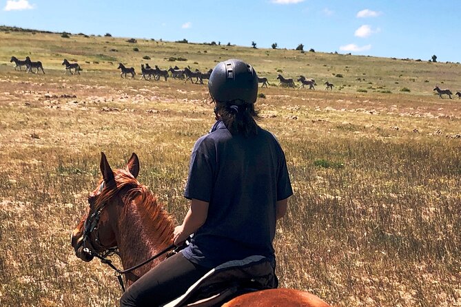 Beach Horse Ride in Yzerfontein, Western Cape - Is $37.50 good value?