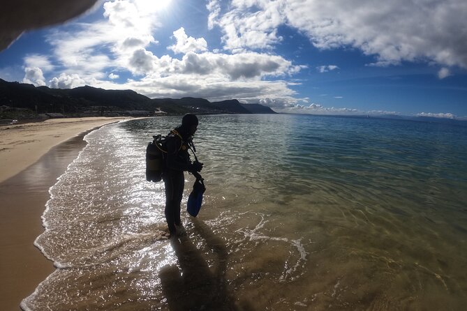 Beginner Scuba Diving Experience in Simonstown. - Shallow-water skills before going farther