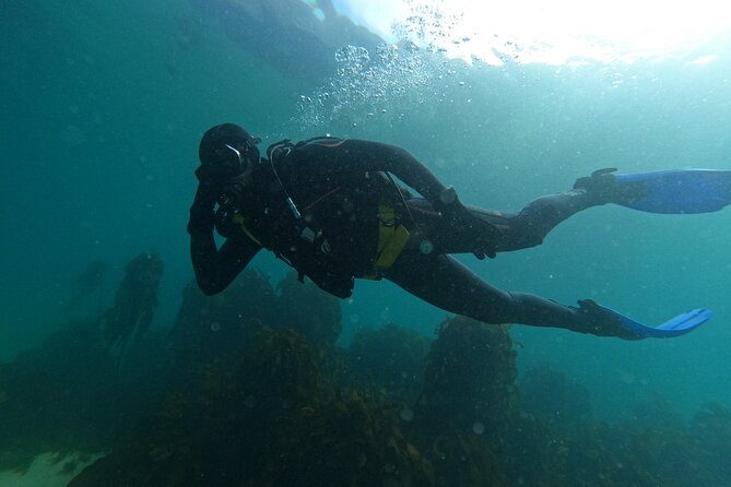 Beginner Scuba Diving Experience in Simonstown. - Getting comfortable with the scuba equipment