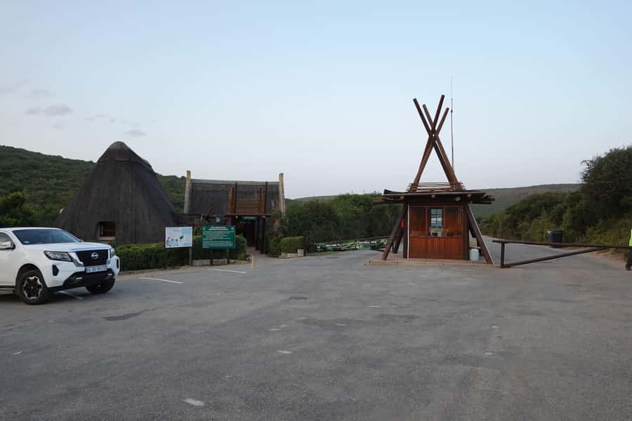Best Addo Elephant park safari! - Key points to know before booking