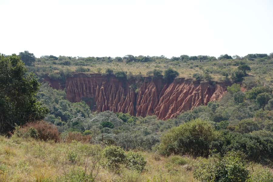 Best Addo Elephant park safari! - The elephant waterhole is the day’s main event