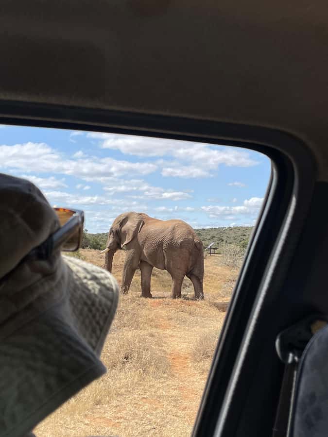 Best Addo Elephant park safari! - Sunset on the Gamtoos River adds a fine finish