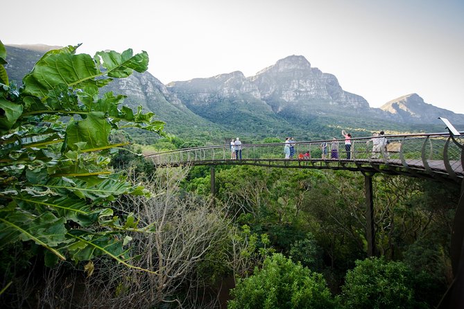 Best Cape Point/Cape of Goodhope/Penguins/Kirstenbosch - Boulders Beach and the African penguins