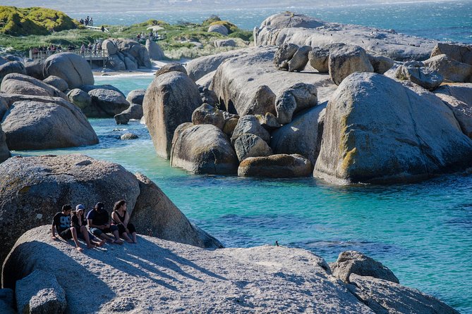 Best Cape Point/Cape of Goodhope/Penguins/Kirstenbosch - Kirstenbosch and the Boomslang walkway