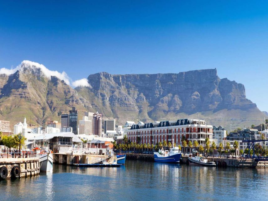 Best of Cape Private Tour Cape Point+Penguins+Table Mountain - Boulders Beach and the African penguins