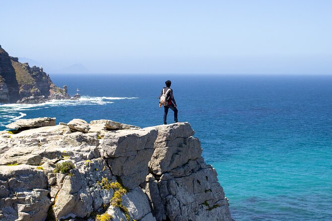 Best of Cape Town Cape Point and Wineries Combined Private Tour - What the $138.75 price really covers