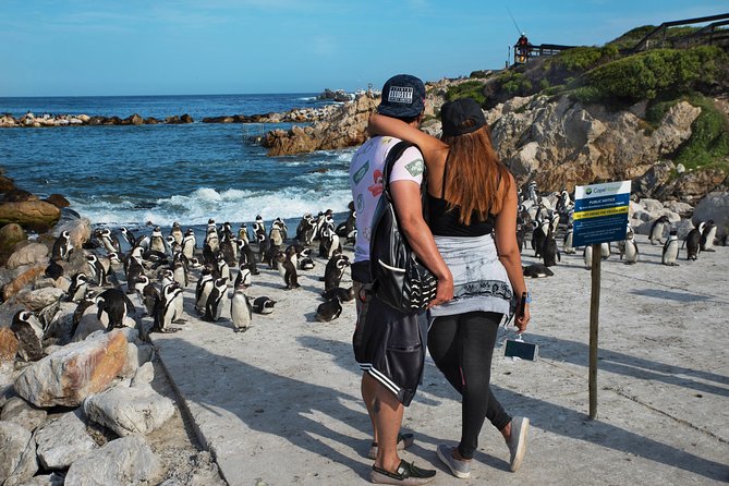 Best of Cape Town Full-Day Private Tour with Table Mountain - Chapmans Peak Drive delivers the visual payoff