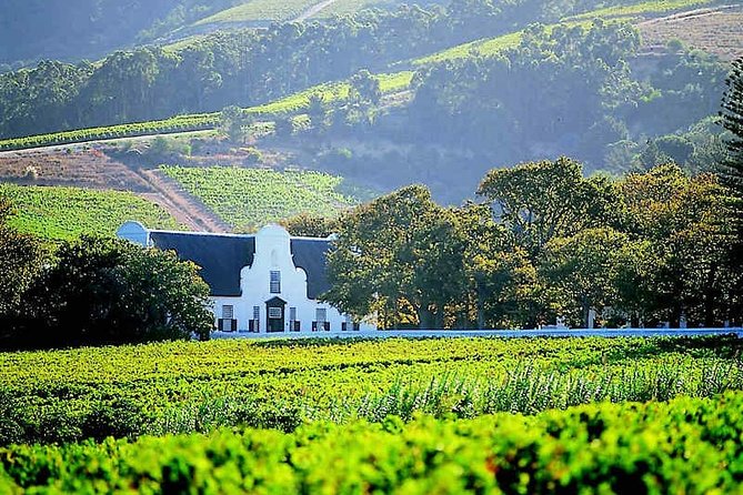 Best of Cape Town Wines - Cape Winelands Tour - What the $159.52 price really buys