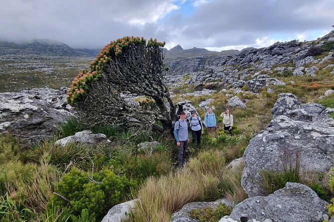BEST of Table Mountain! Exhilarating Full-day Guided Hike - Key points at a glance