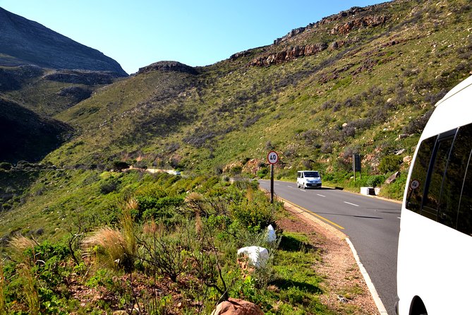 Best of the Cape (Cape Point & Winelands) - Stellenbosch offers a change of pace
