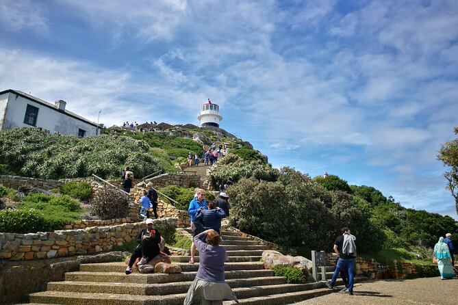 Best of the Cape Full Day Private Tour - Noordhoek Farm Village adds a useful pause