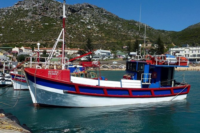 Best of The Cape Full Day Private Tour with Table Mountain - Chapman’s Peak: let the road do the work