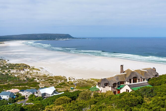 Best of The Cape Full Day Private Tour with Table Mountain - Cape of Good Hope: the southern peninsula highlight