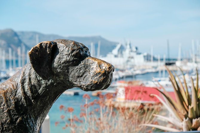 Best of the Cape Peninsula Private Tour - The Cape of Good Hope section is about wildlife as well as viewpoints