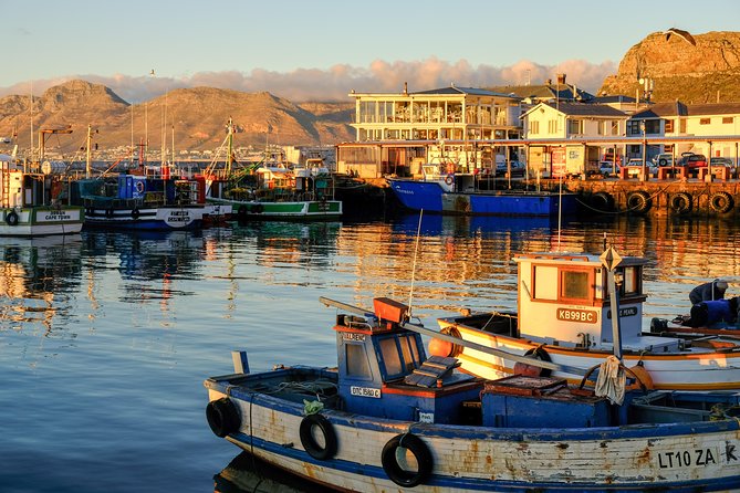 Best of the Cape Peninsula Private Tour - How the $103.89 price measures up