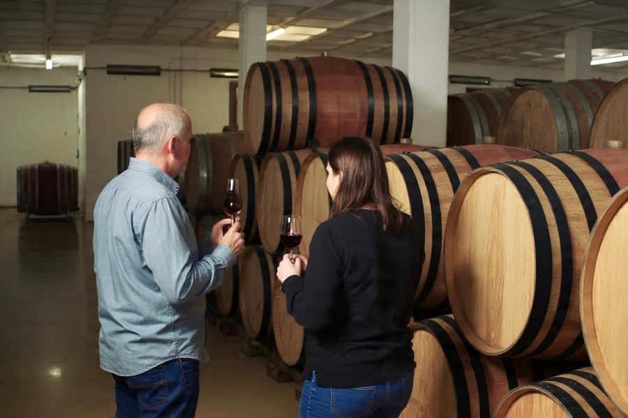 Best of the Cape Peninsula & Wine Route with Wine Tasting - Guides, languages, and the human side of the day