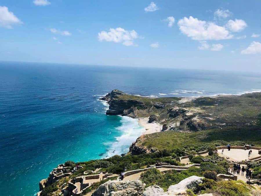 Best of the Cape Peninsula & Wine Route with Wine Tasting - Transport, meals, and what to pack