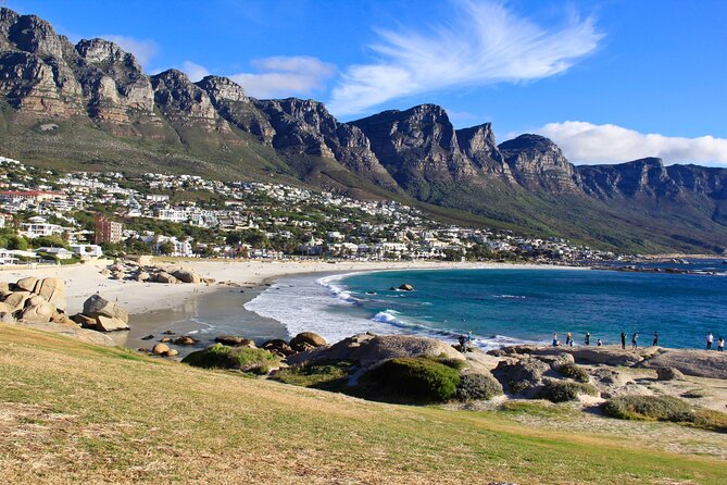 Best of the Cape Private full day tour - Seal Island: a boat ride with a clear extra-cost question