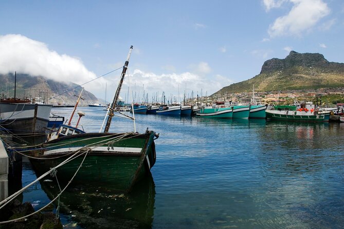 Best of the Cape Private full day tour - Boulders Beach: the closest wildlife encounter
