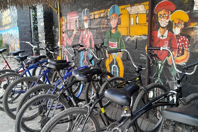 Bicycle or Tuk Tuk Soweto Guided Experience - Bicycle or tuk tuk: which should you choose?