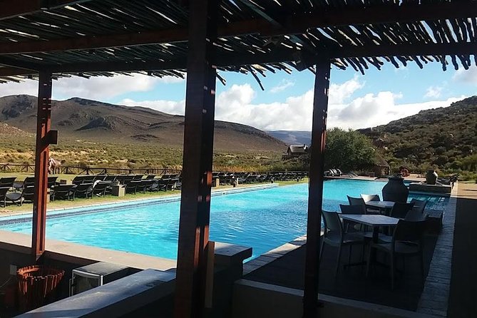 Big 5 Full Day Safari Aquila Lunch plus Breakfast From Cape Town - What the Big Five experience may feel like