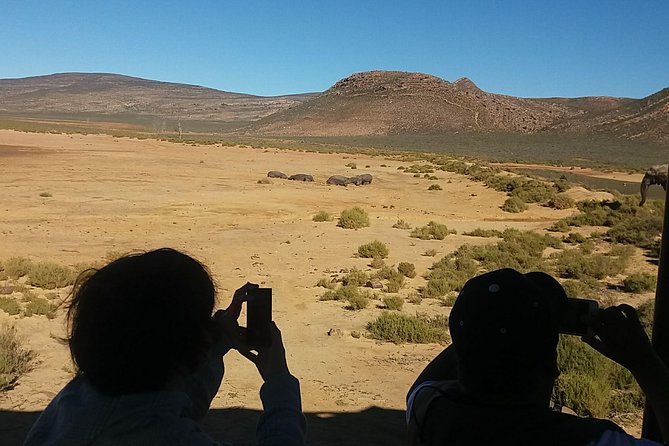 Big 5 Full Day Safari Aquila Lunch plus Breakfast From Cape Town - The open-air 4x4 game drive