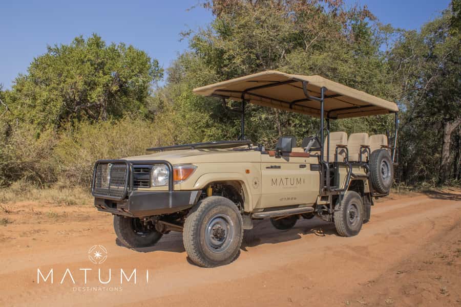 Big 5 Safari Am or Pm - Why this short safari works well in Kruger