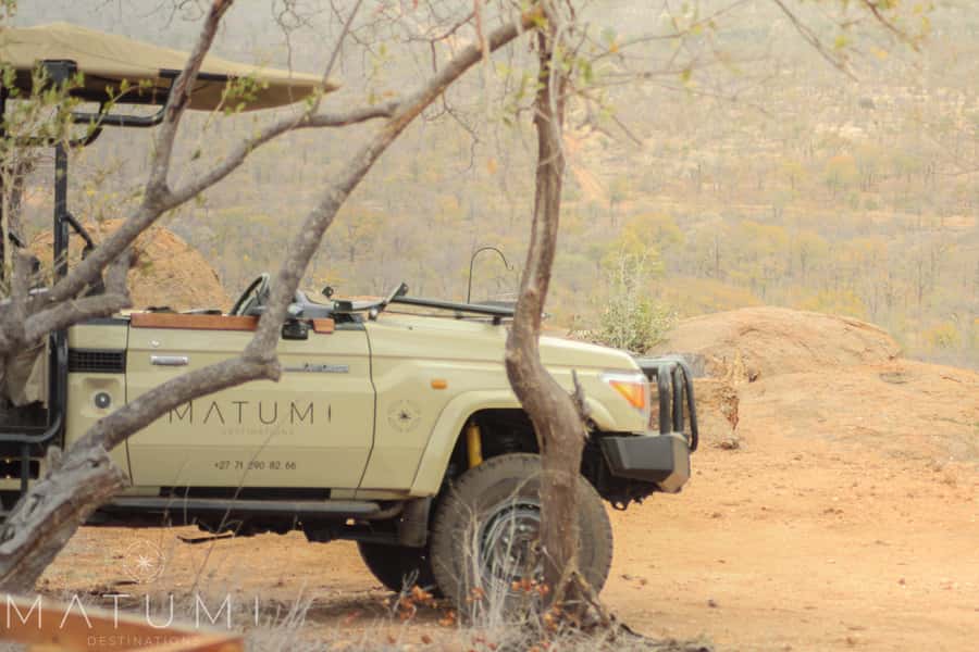Big 5 Safari Am or Pm - Starting from Hoedspruit at Matumi Destinations or Rhino Convention Centre