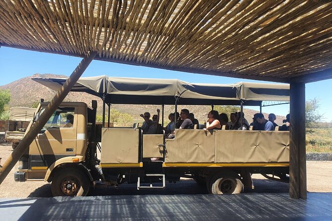Big 5 Safari Aquila Full Day Private Return From Cape Town - Arriving at Aquila Private Game Reserve