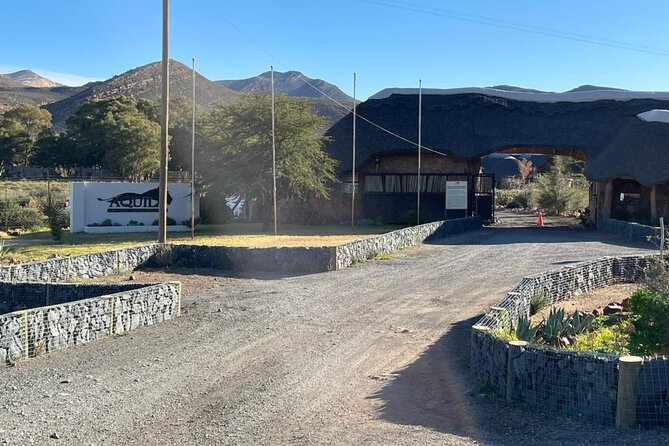 Big 5 Safari Aquila Full Day Private Return From Cape Town - Lunch, Breakfast, and the Midday Break