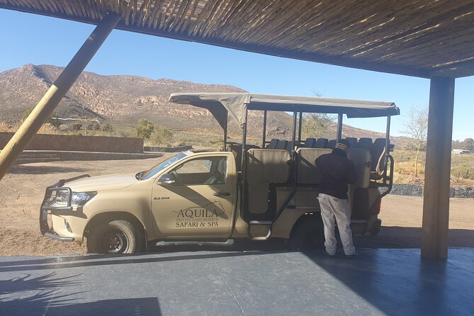 Big 5 Safari Aquila Full Day Private Return From Cape Town - Adding Wine Country on the Way Back