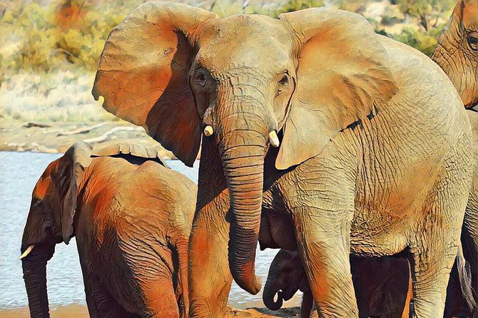 Big 5 Safari Experience at Pilanesberg National Park - The guide makes the difference
