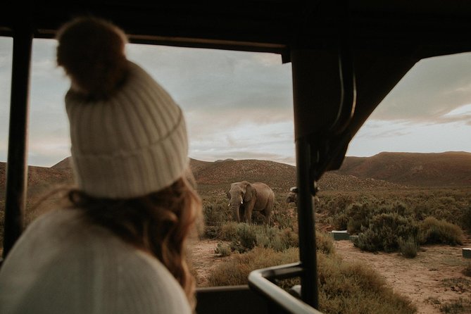 Big 5 Safari One Day Tour - Breede Valley views and the route through Worcester