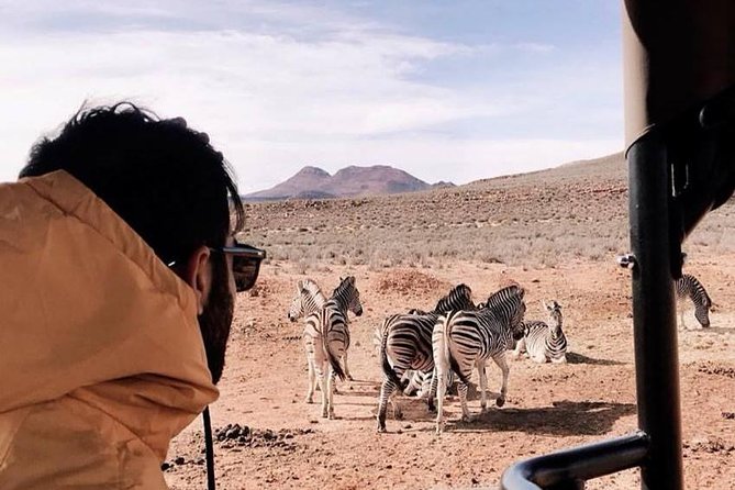 Big 5 Safari One Day Tour - Meals, facilities, and the price