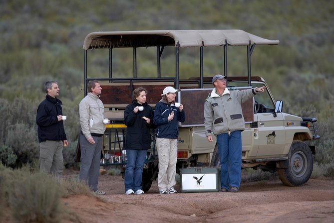 Big Five Game Reserve Wildlife Safari from Cape Town - Three hours on an open safari vehicle