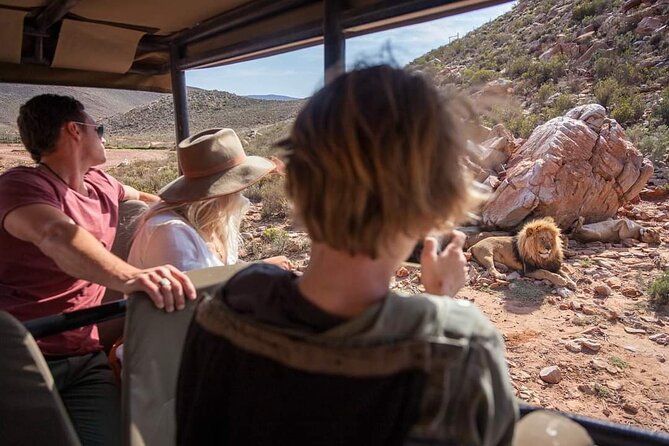 Big Five Safari Experience Near Cape Town ,South Africa - Is the $127.19 price good value?