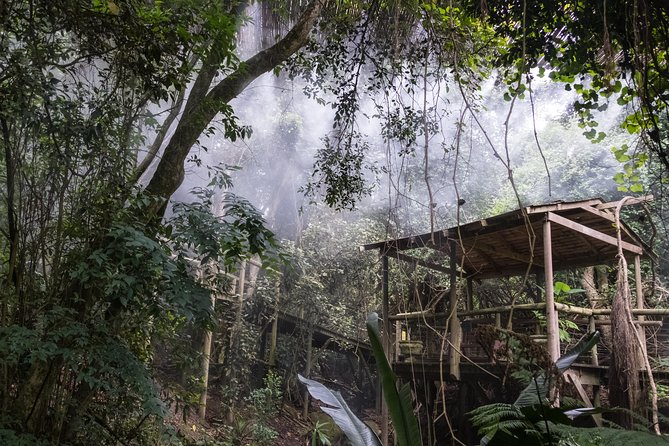 Birds of Eden Admission Ticket - Weather, children, and simple planning tips
