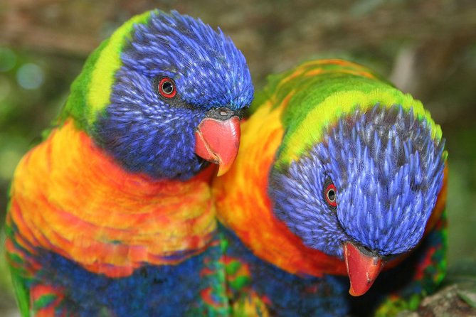 Birds of Eden Admission Ticket - Who will enjoy Birds of Eden most?