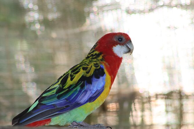 Birds of Eden Admission Ticket - The 1.2-kilometer boardwalk at your own pace