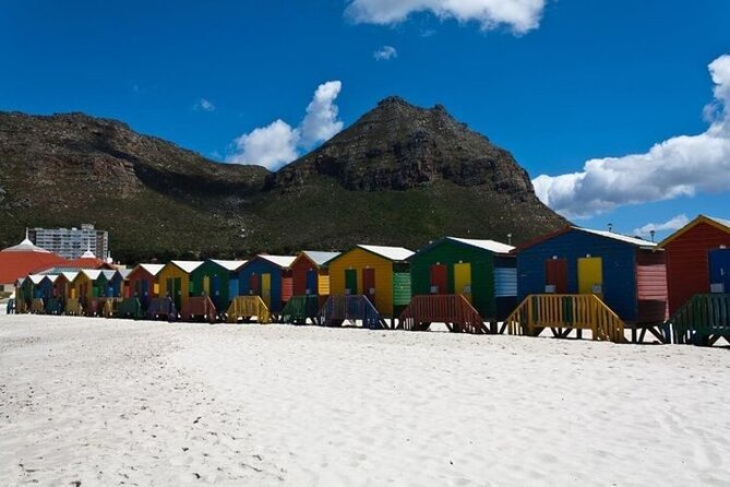 Bo Kaap Cape Point Penguins at Boulders Beach Cape Town - Flexible options for a more personal route