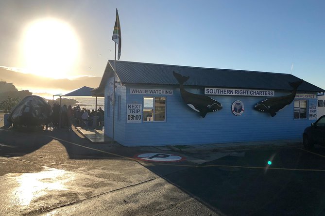 Boat Based Whale Watching from Hermanus - A guide who turns sightings into understanding