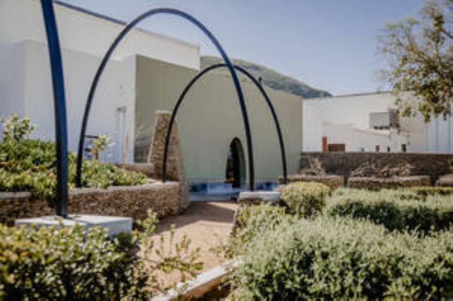 Bonnievale : Captivated By Chardonnay - Key Points To Know Before You Go