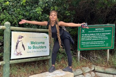 Boulders Beach Cape Town: Swimming With Penguin & Close Encounter Half Day Tour