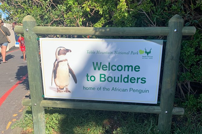 Boulders Beach Penguins and Seal Island Boat Trip Half Day Tour - What the $75 price really covers