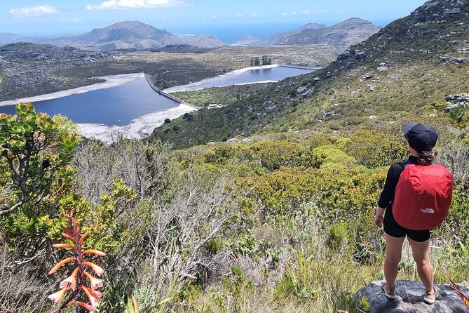 Breathtaking Table Mountain Guided Hike - Off the Beaten Track! - Who should book this Table Mountain hike
