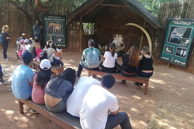 Bush Babies & Monkey Sanctuary and Elephants walk Private - The elephant presentation and walk
