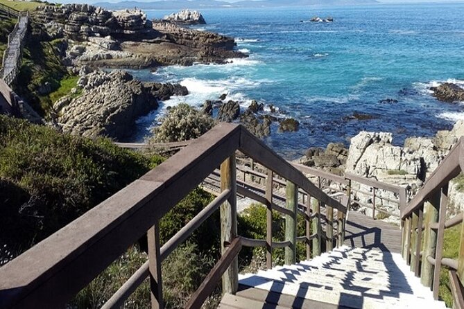 Cape Agulhas Full Day Private Tour - A private vehicle and a guide who shapes the day