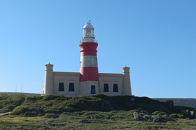 Cape Agulhas Full Day Private Tour - Is $196 per person a fair price?
